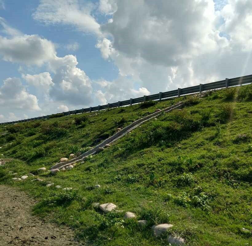 Geogrid-reinforced_-embankment.jpeg